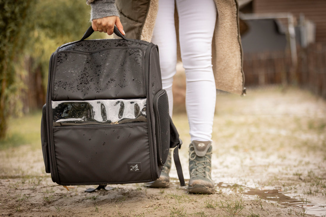 Hunderucksack? Mein Hund? Niemals! - Part 2 - Wie Du Deinen Hund in 7 Tagen zum Reise-Profi machst