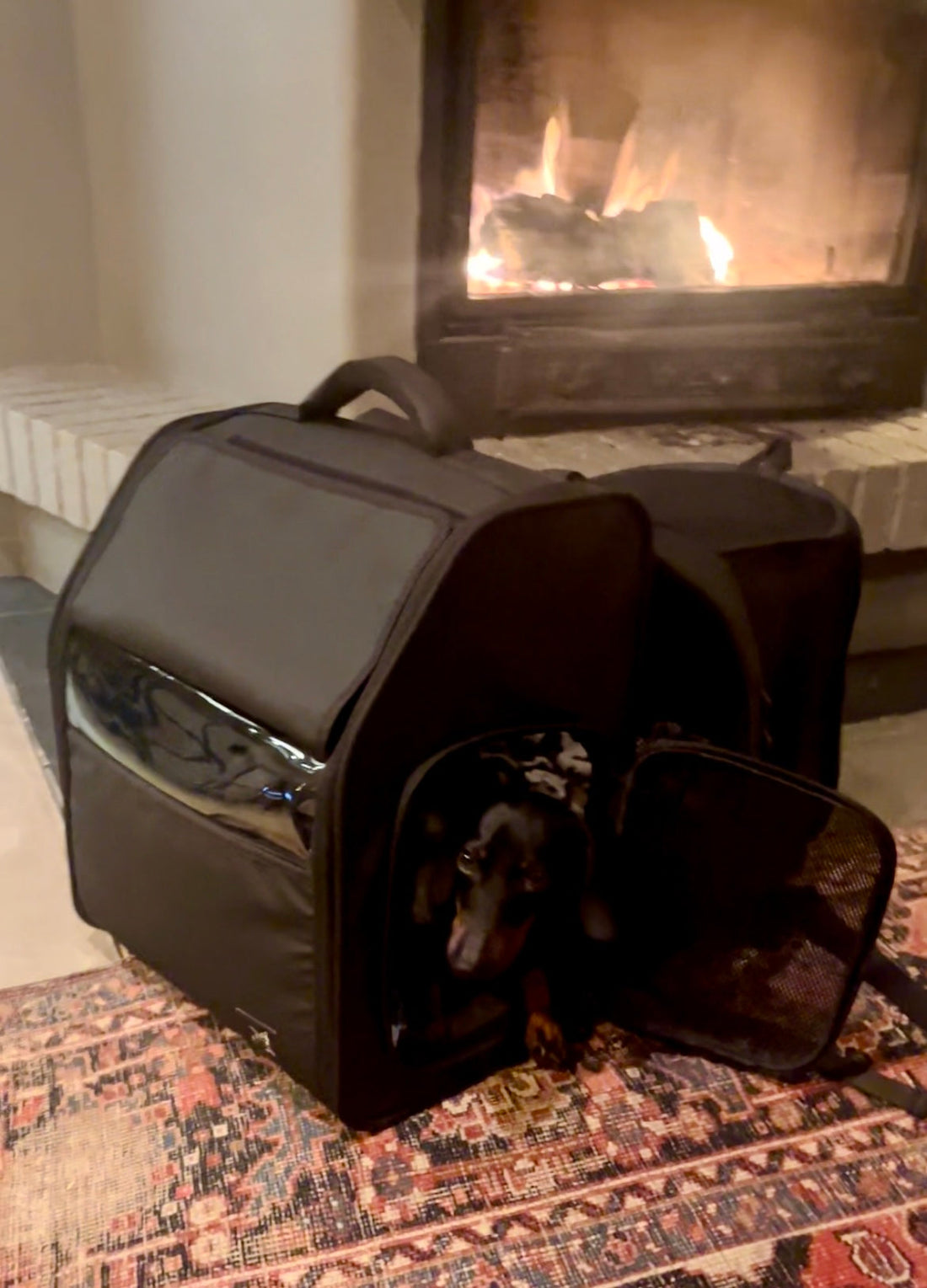 Der Nico-Pico Hunderucksack vor einem Kamin aufgestellt mit NIco im Rucksack liegend.