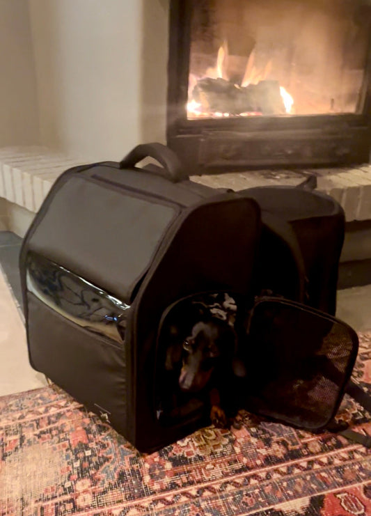 Der Nico-Pico Hunderucksack vor einem Kamin aufgestellt mit NIco im Rucksack liegend.