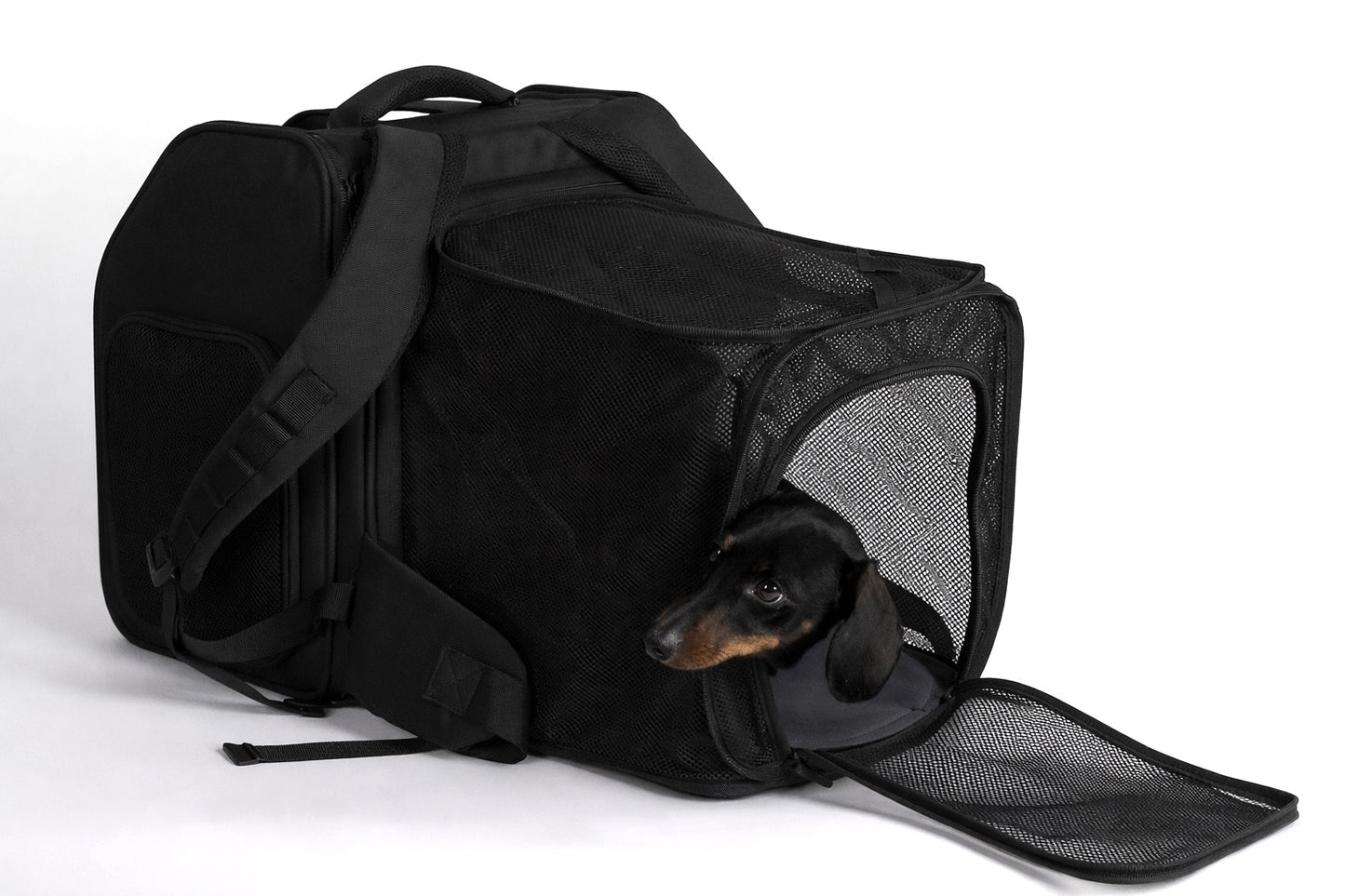 Plecak dla psa Nico-Pico Dog-Travel-Lounge