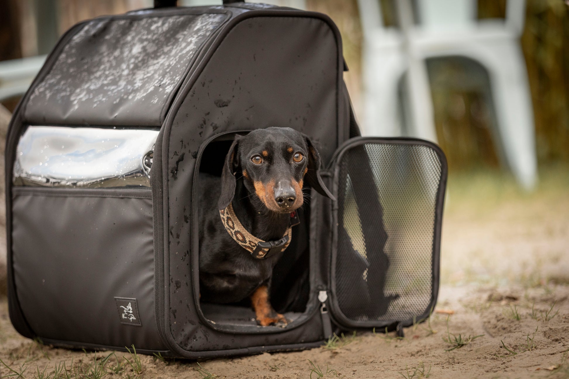 Hunderucksack TravelLounge –